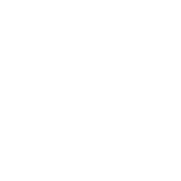 Bintooq
